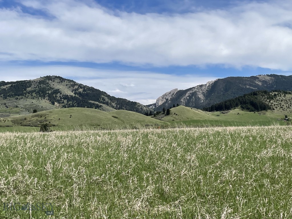 NKN Mount Ellis Lane