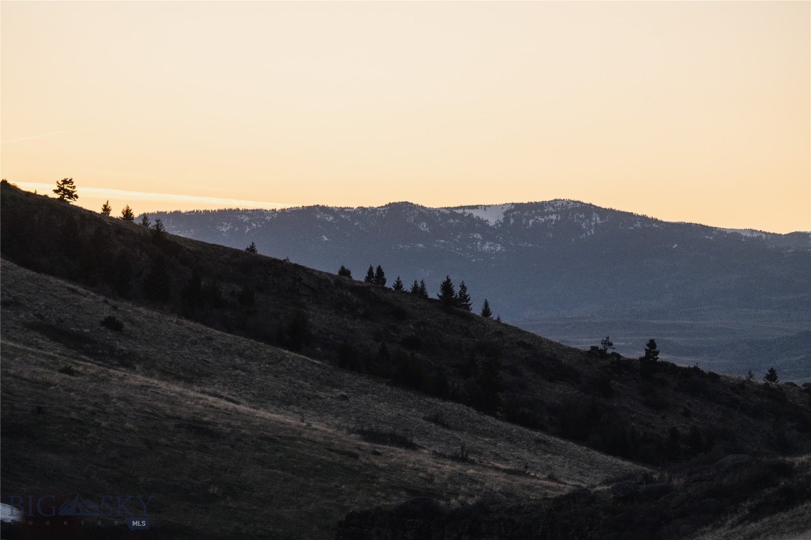 TBD Livingston Peak Road