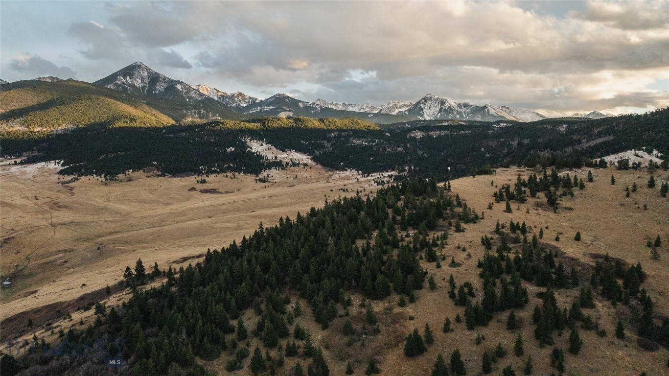 TBD Livingston Peak Road