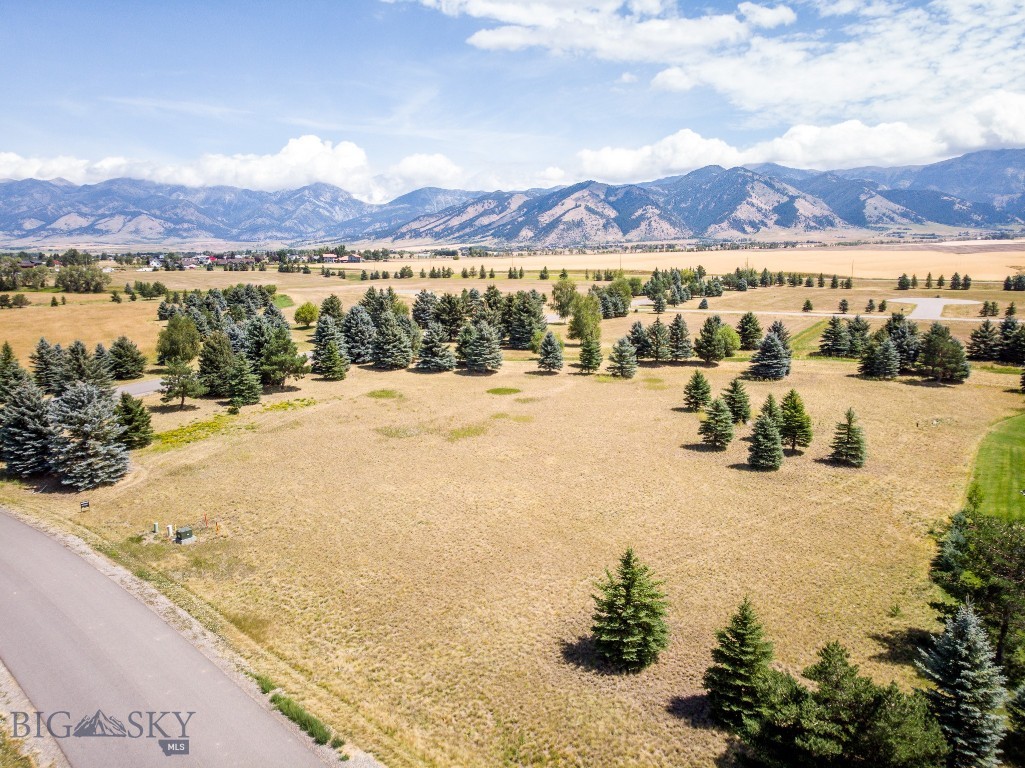 TBD Bridger Lake
