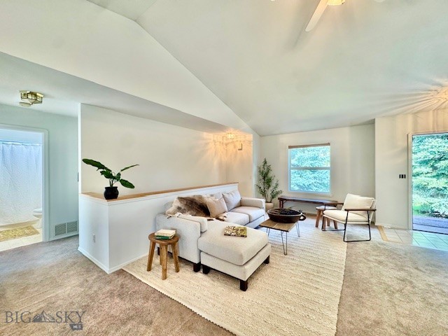211 Bison Trail