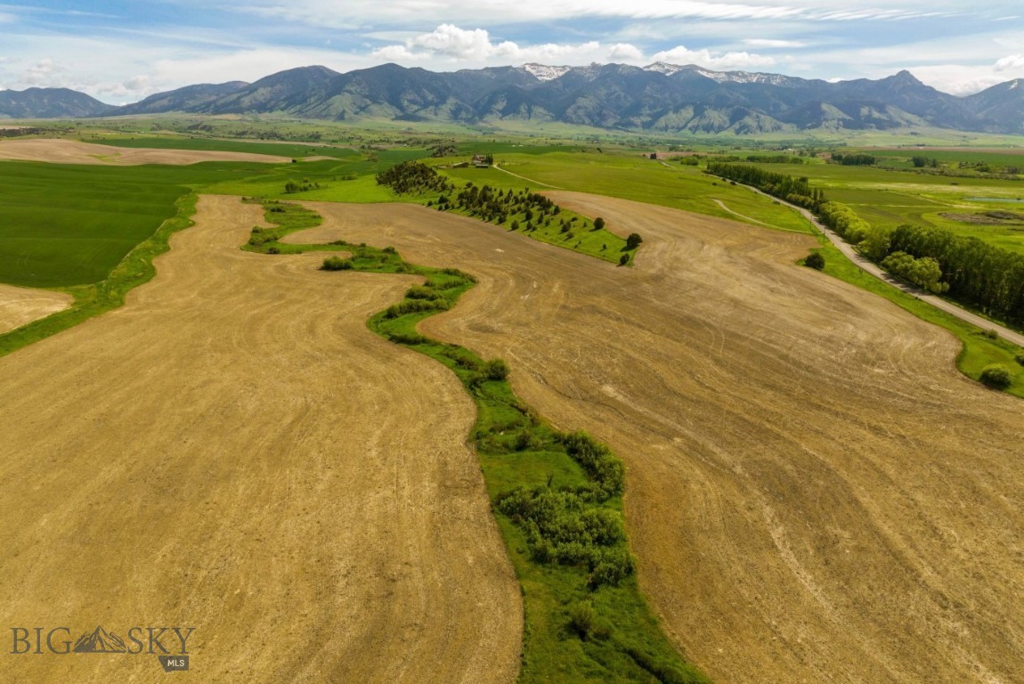 TBD Reese Creek Road