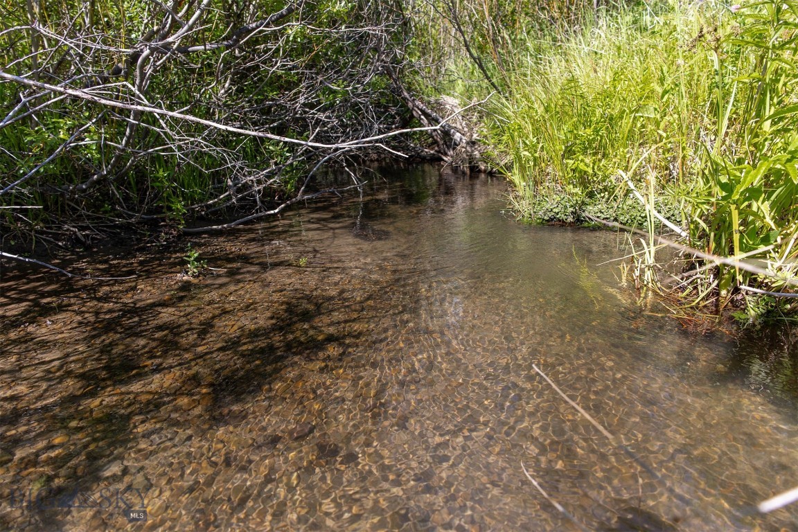 NHN Skunk Creek
