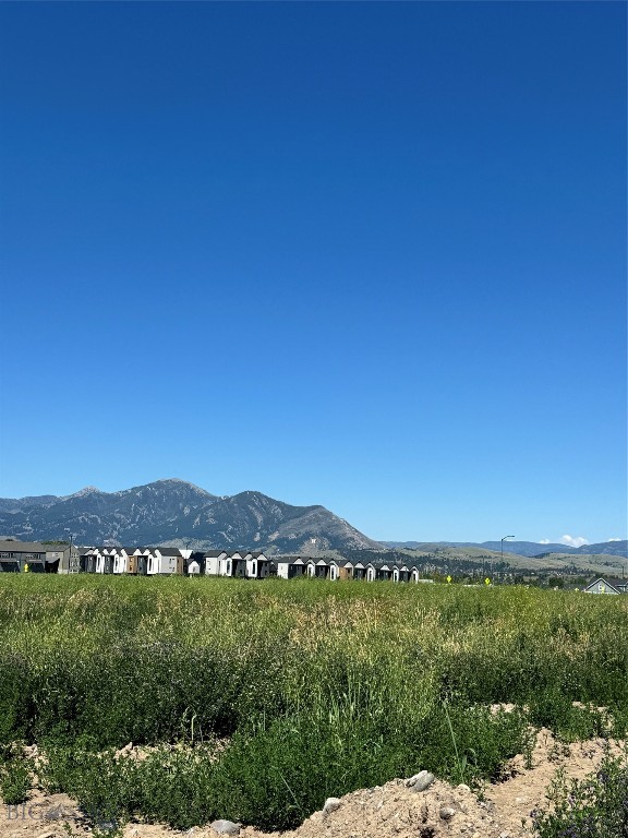 TBD Chinnie Lane
