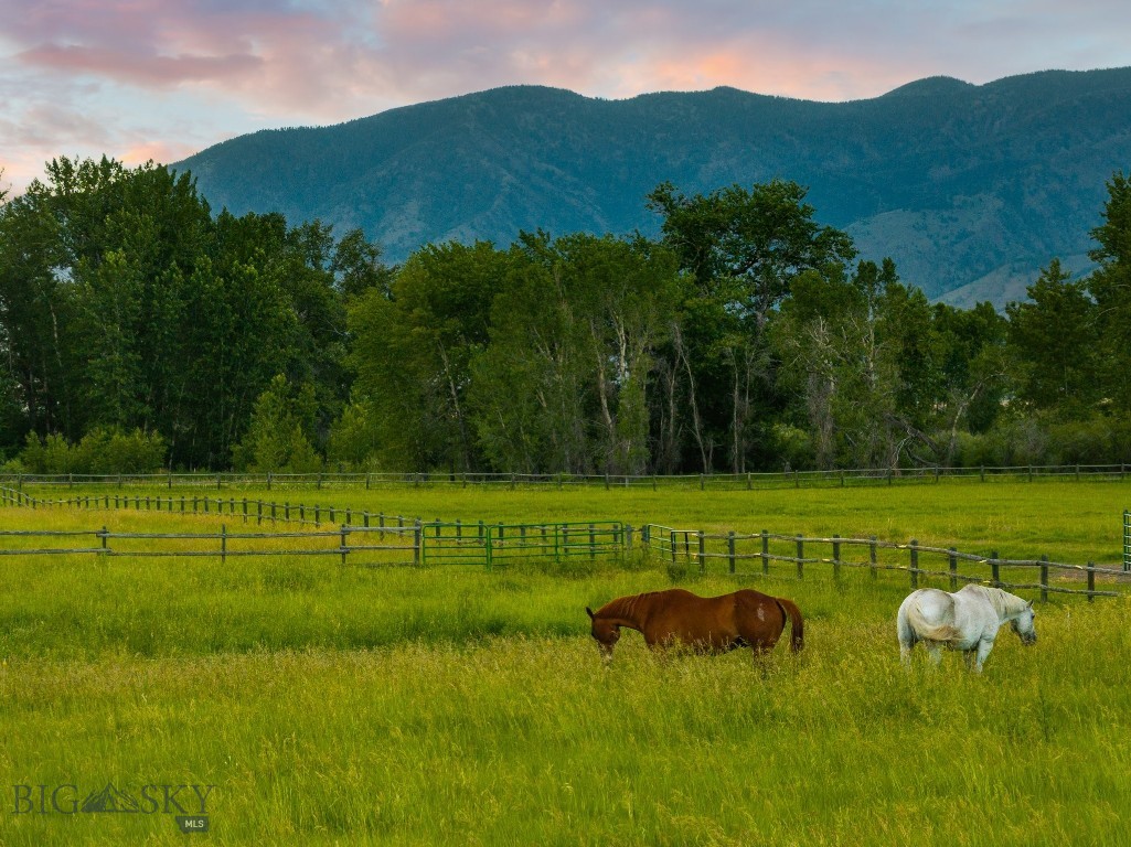 1700 Nelson Road, Bozeman