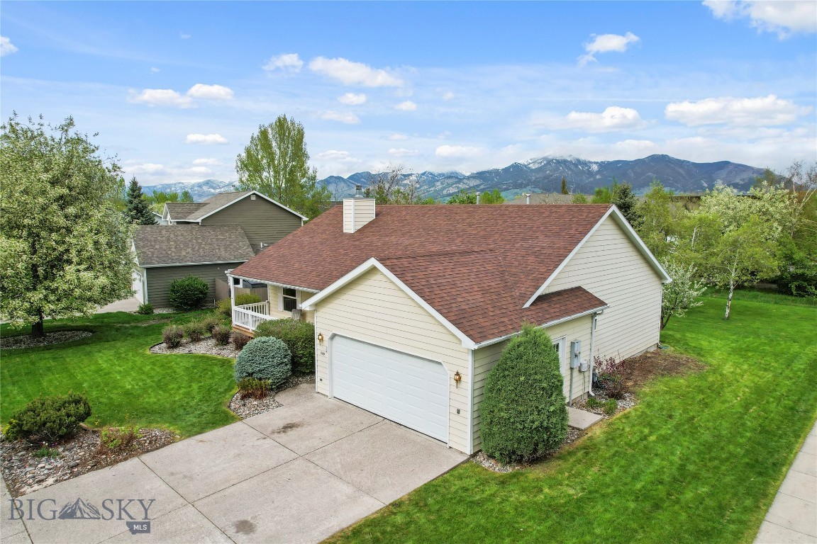 1100 Mountain Ash