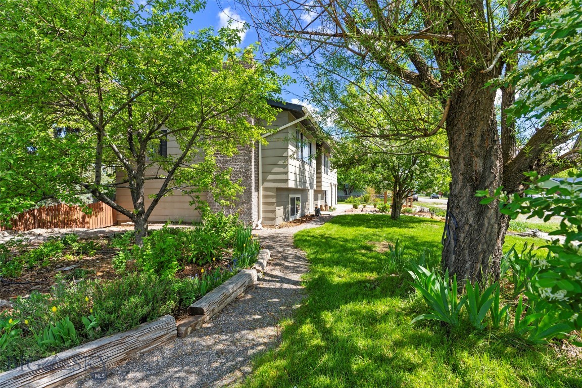 707 Montana Street