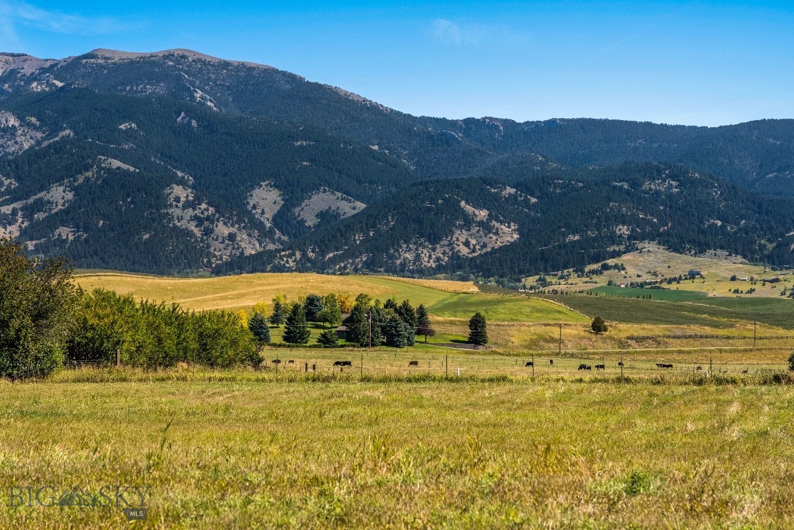 NHN Springhill Road, Bozeman