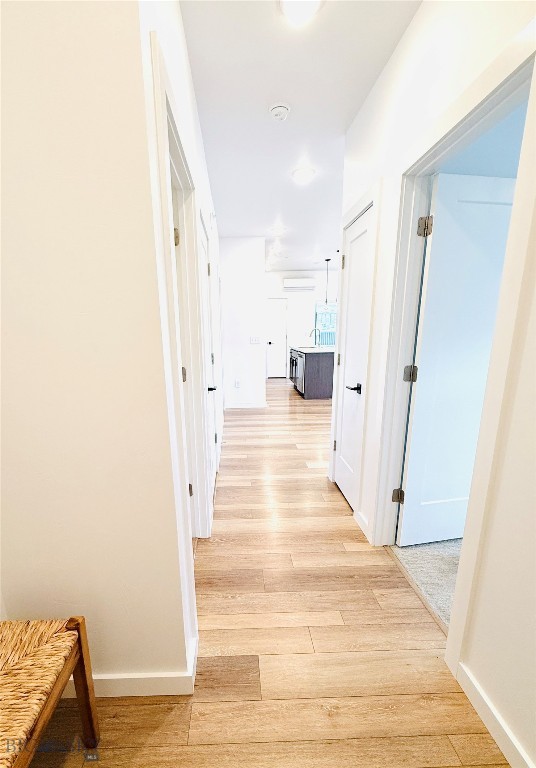 2440 Tschache Lane 204