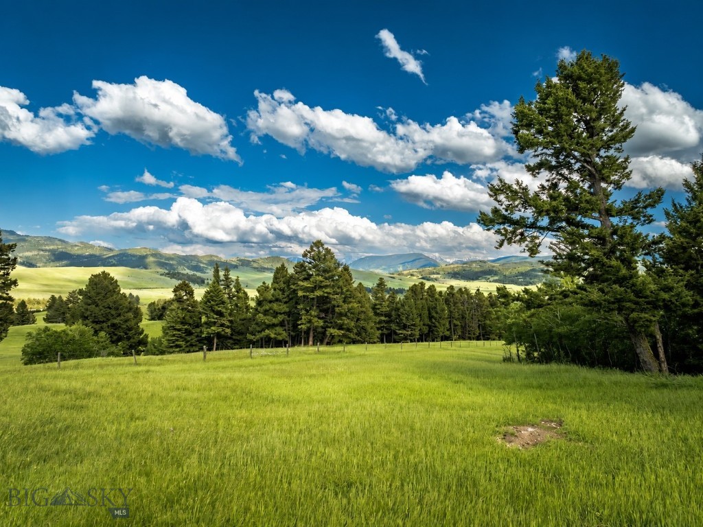 Ranch 12 North Pass Ranches