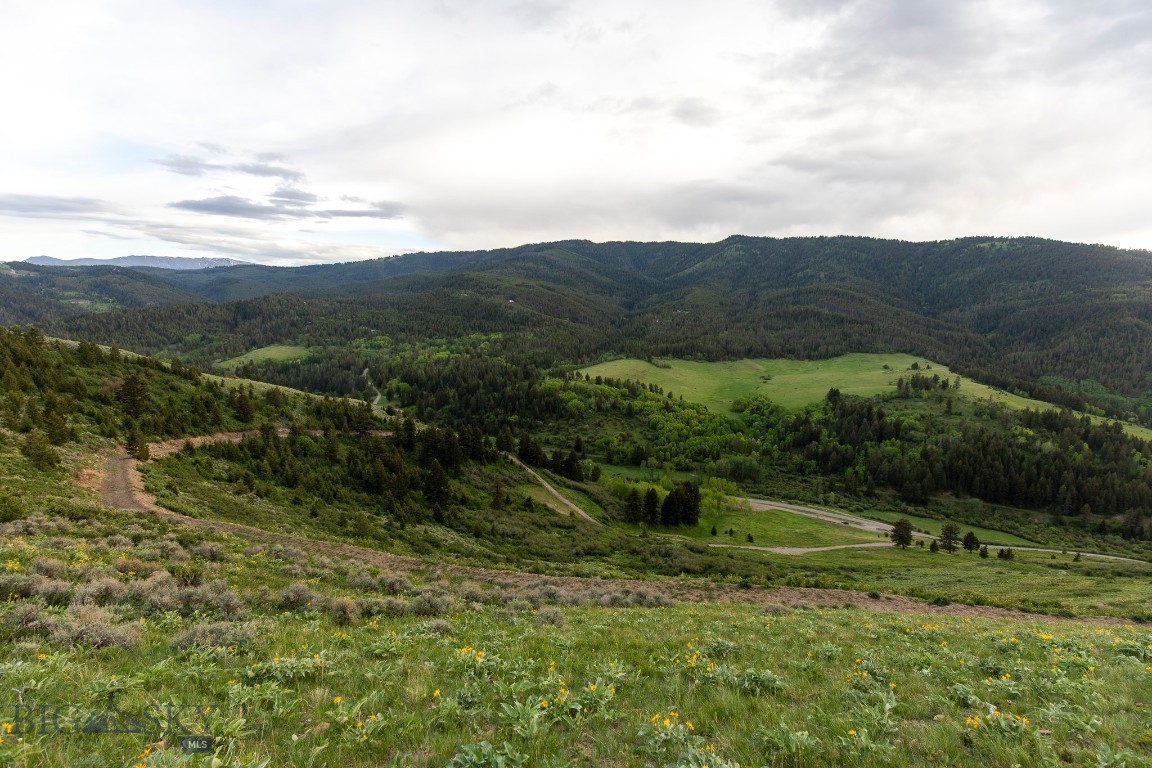 TBD Trail Creek Road Lot 2, Bozeman