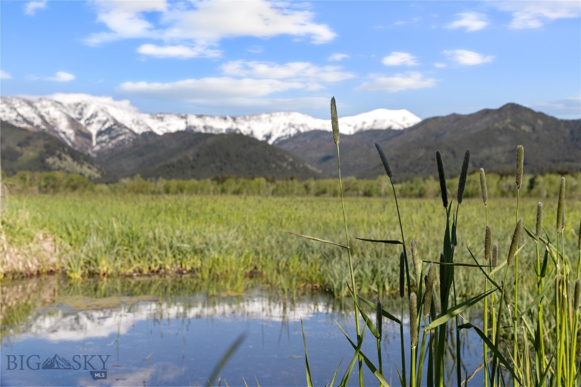 TBD Springhill Community Road