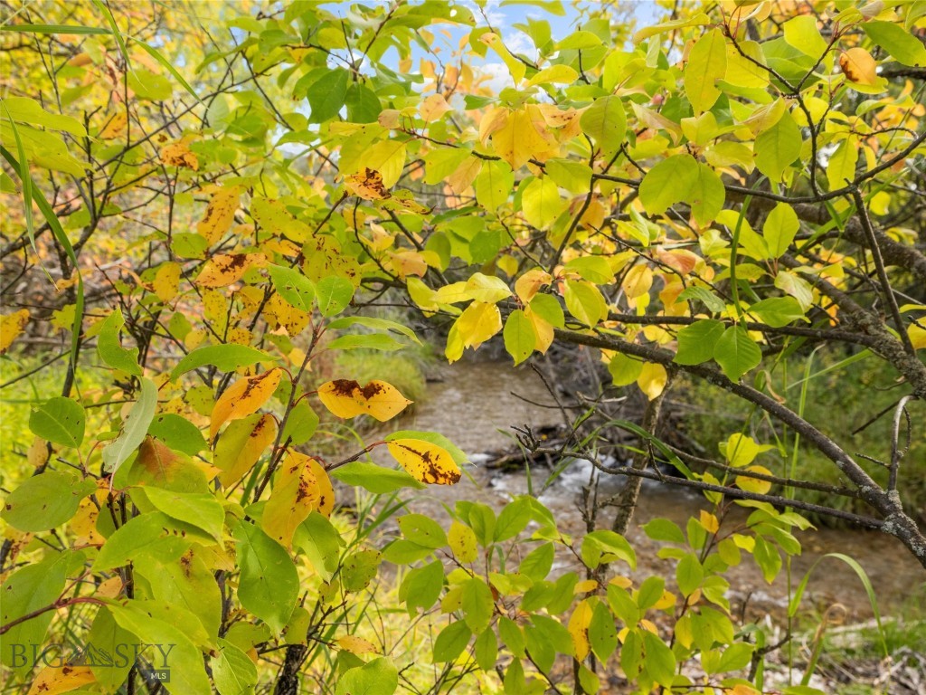 TBD Springhill Community Road