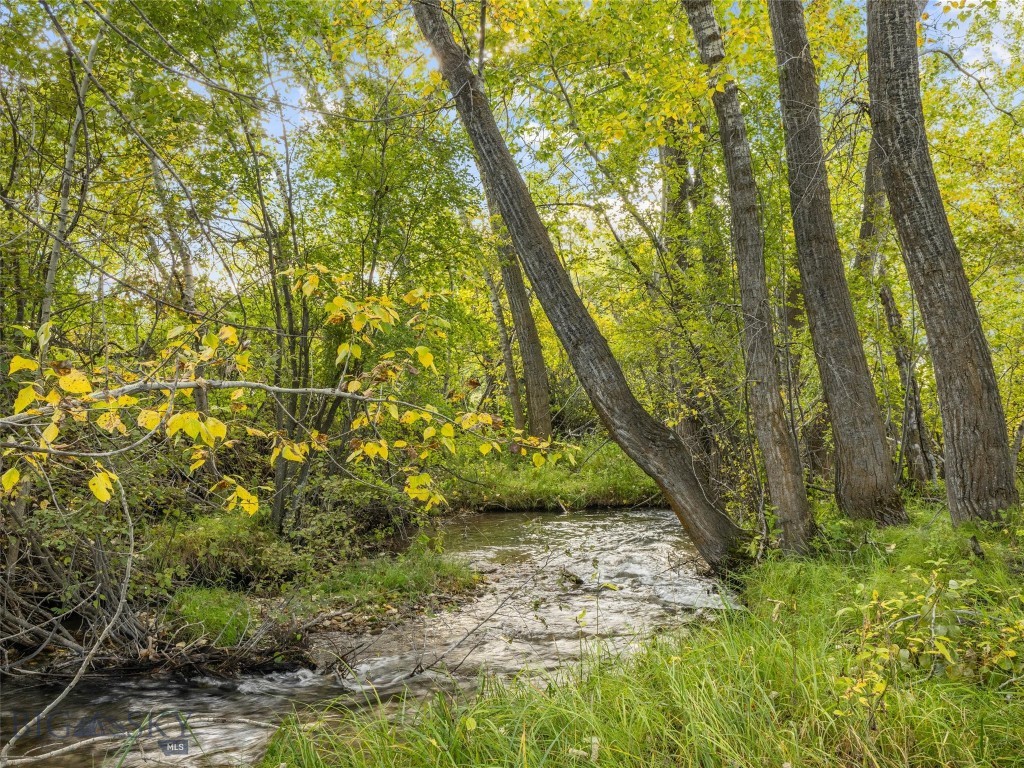 TBD Springhill Community Road