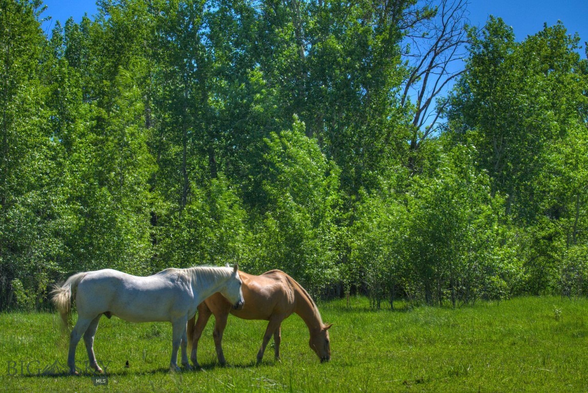 13830 (Tract B) Cottonwood Road, Bozeman