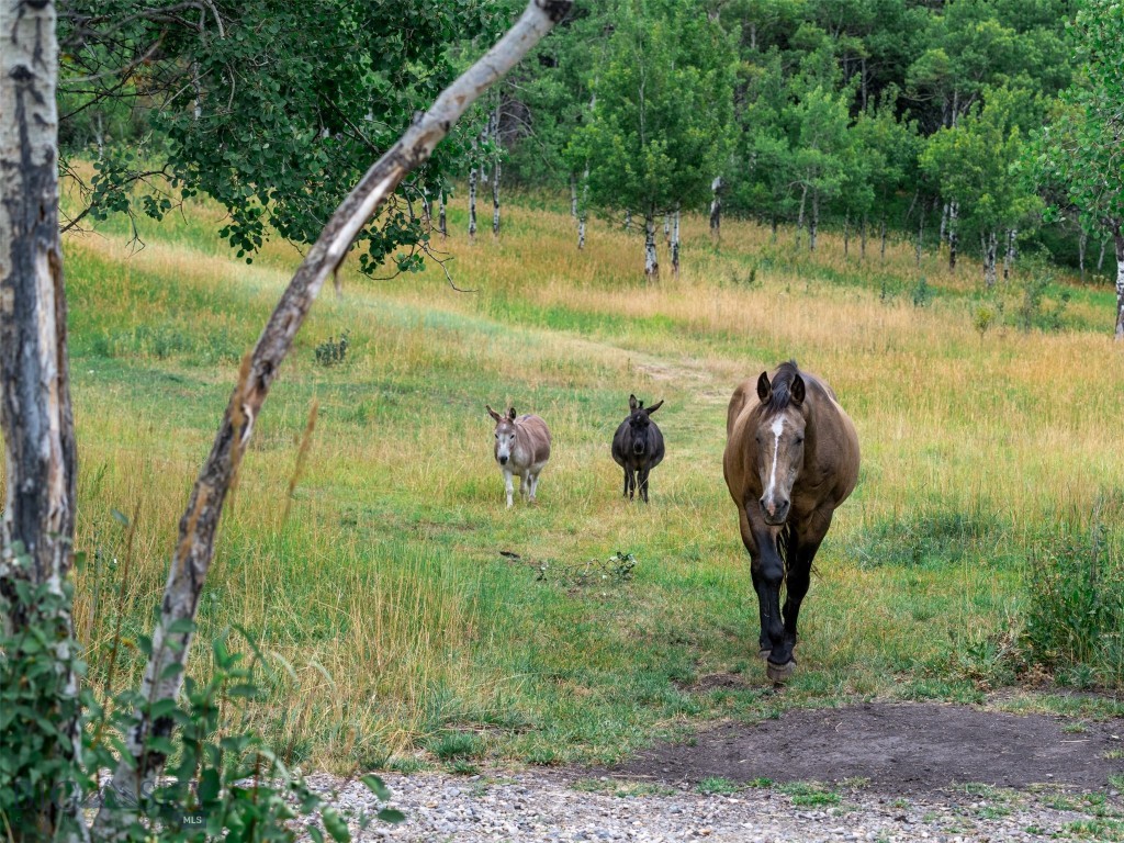 210 Upper Kelly Creek Road