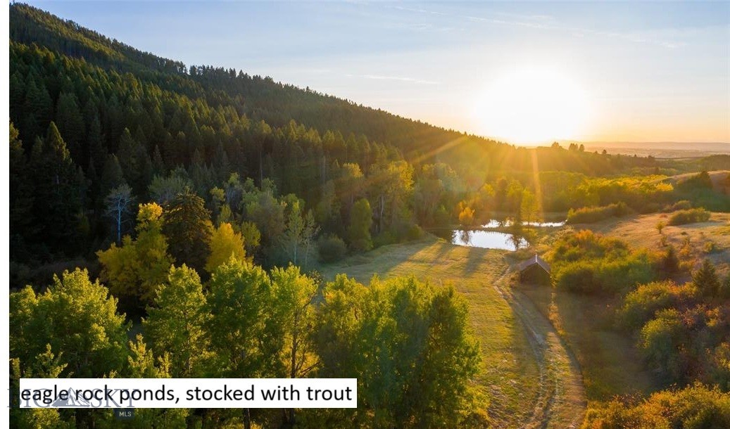 2594 Star Ridge Road