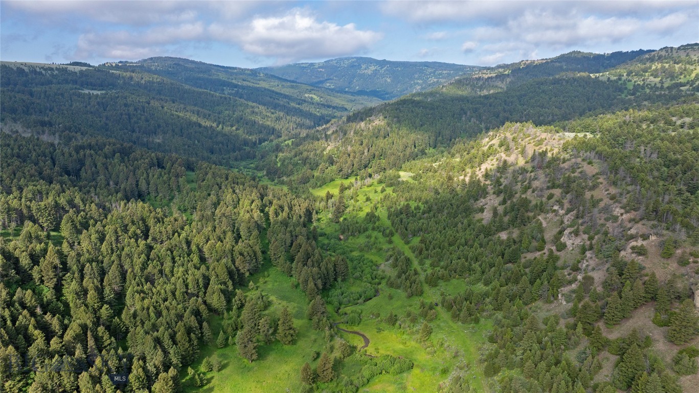 TBD Willow Creek N Fork Road