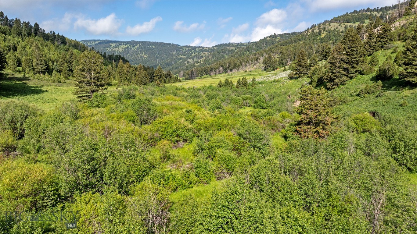 TBD Willow Creek N Fork Road