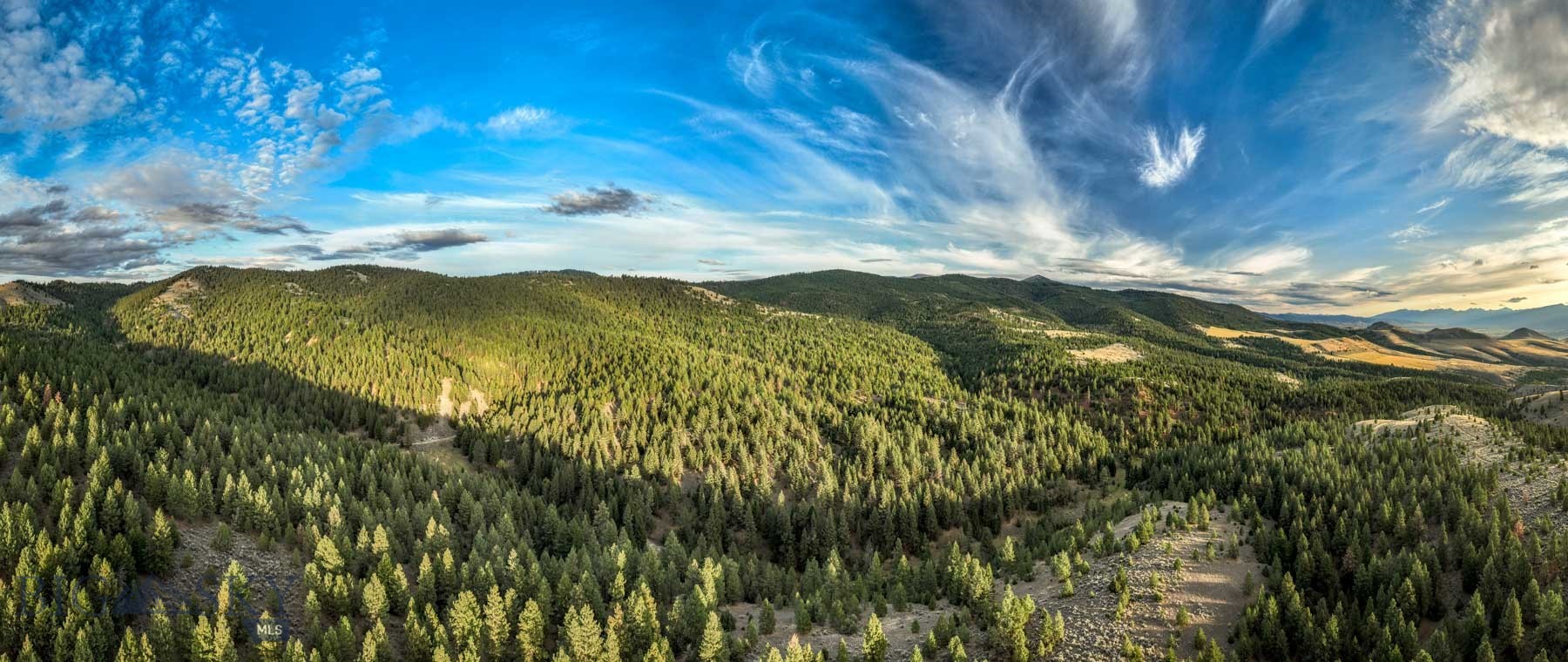 3689 Corley Gulch Road