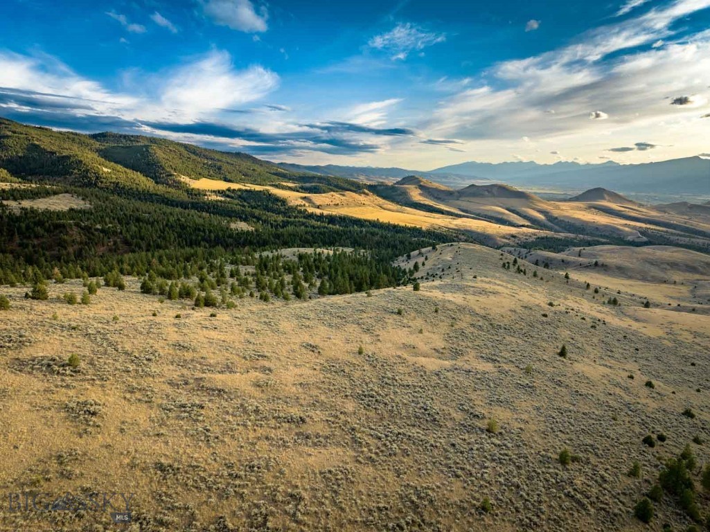 3689 Corley Gulch Road