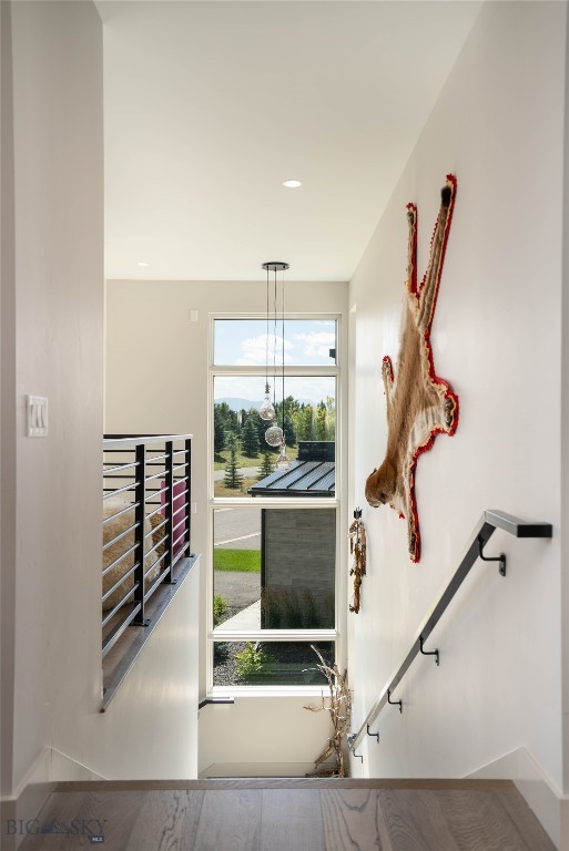 25 Duckhorn A
