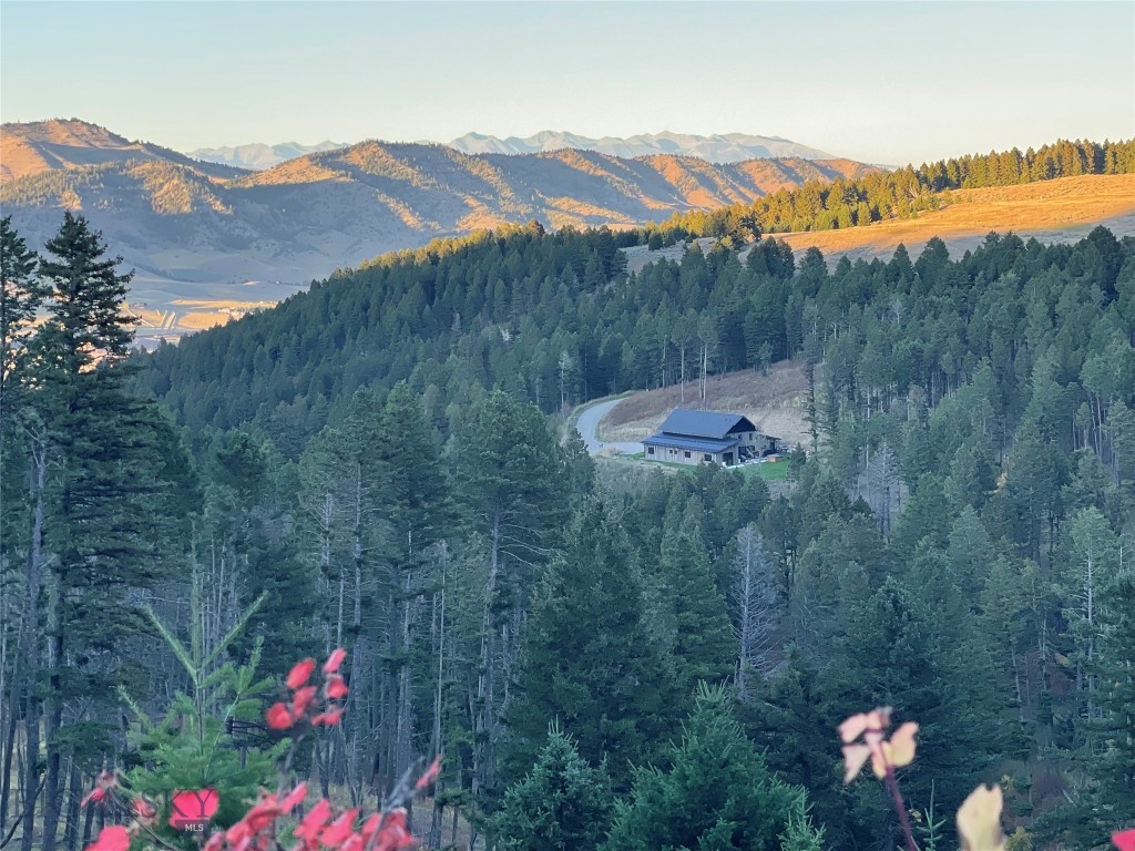 182 Elk Ridge Road, Livingston