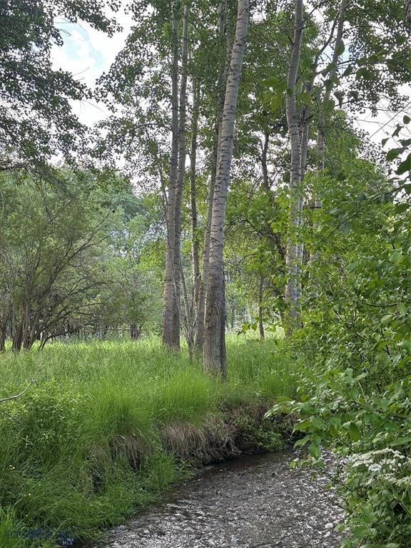 TBD Spring Creek Drive