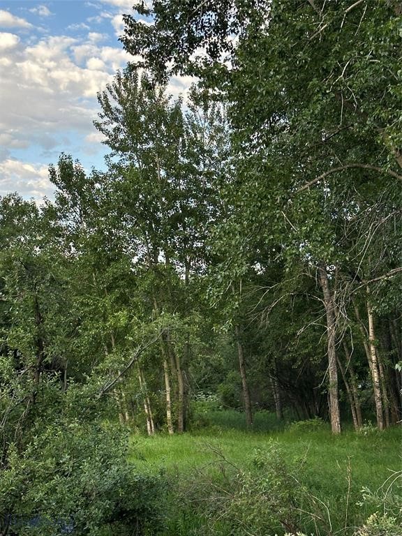 TBD Spring Creek Drive