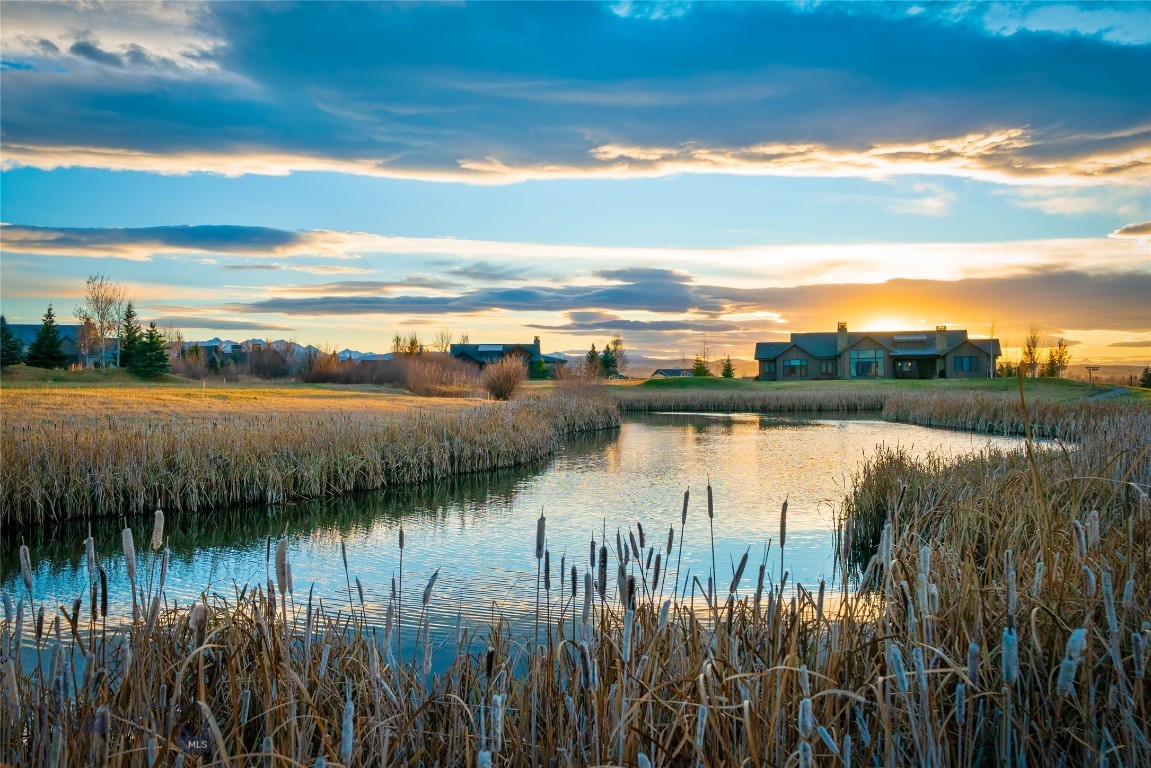 TBD Brave Heart Loop