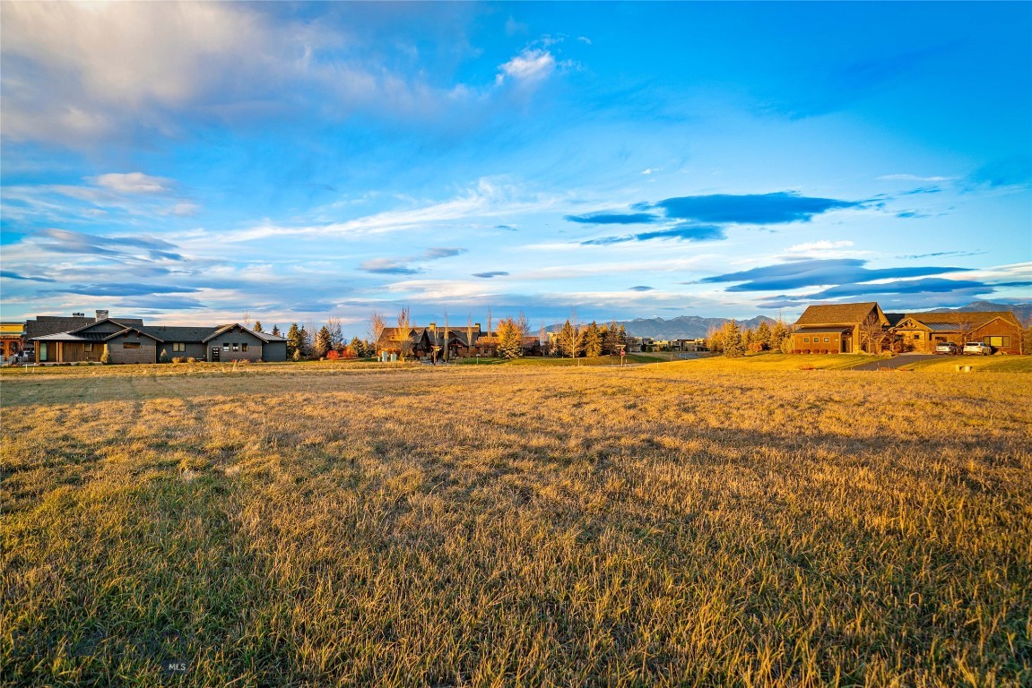 TBD Brave Heart Loop