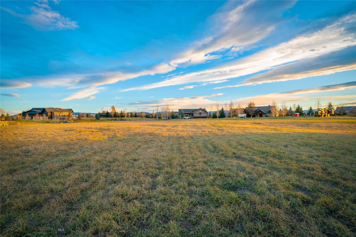 TBD Brave Heart Loop