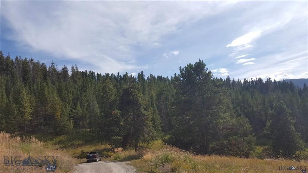 Tract 11 Mountain Moose Road