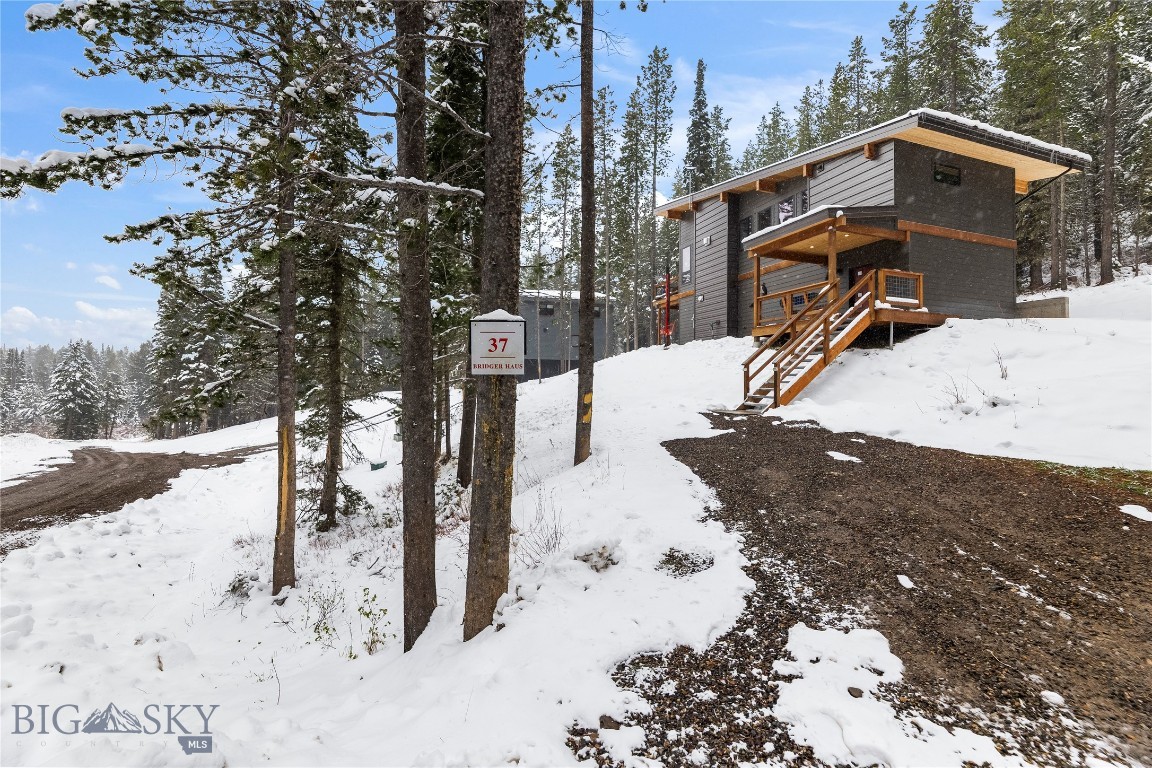 37 Bridger Gully