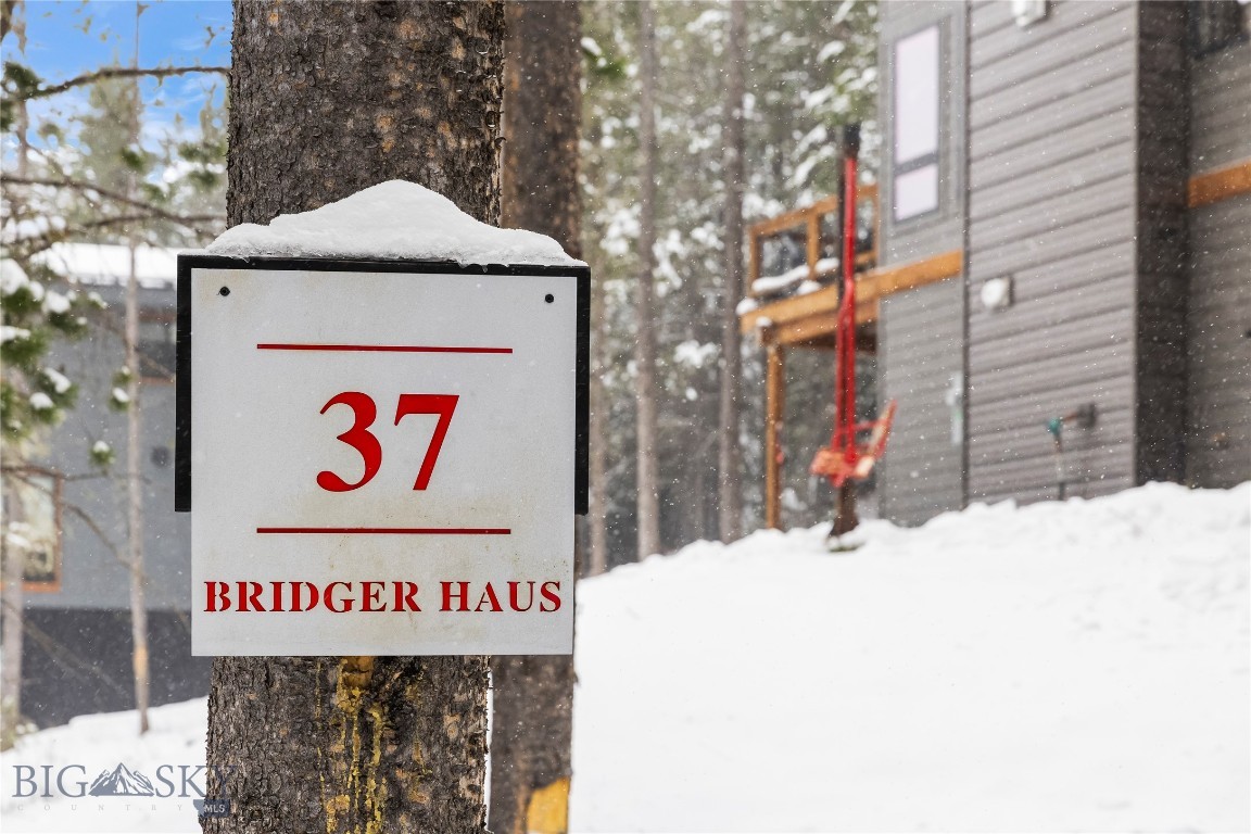 37 Bridger Gully
