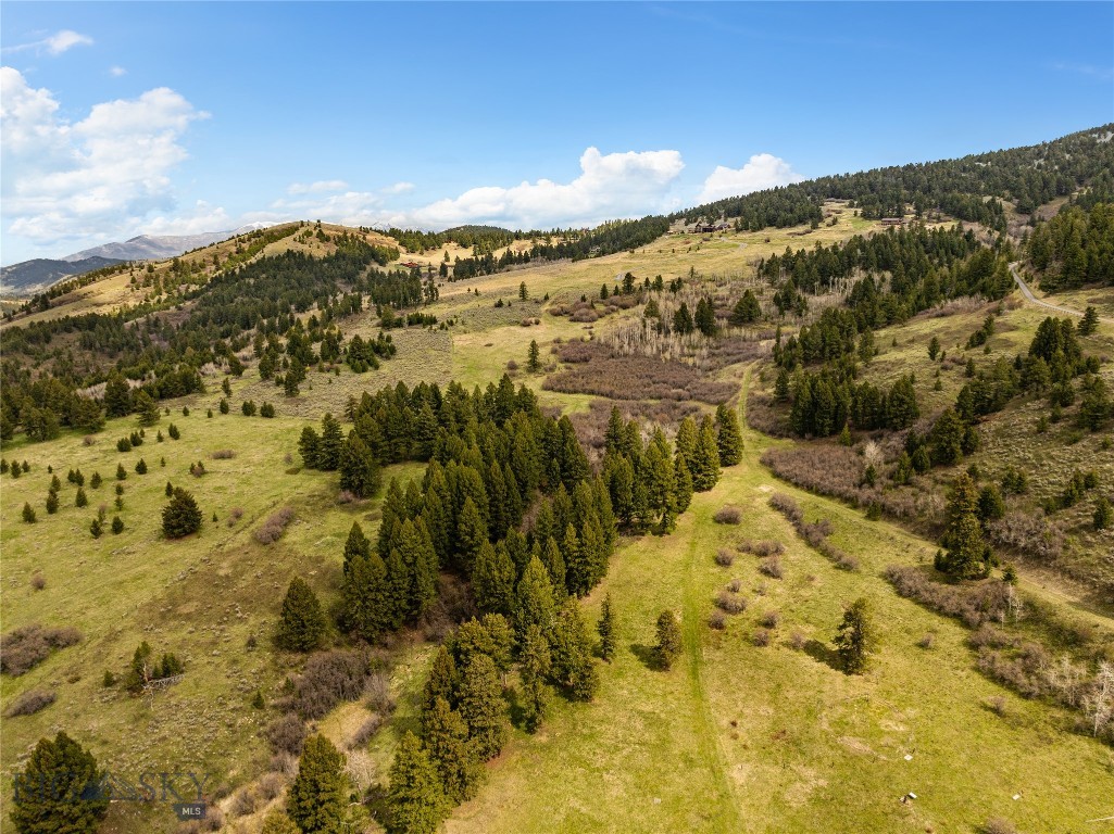 455 Harrison Meadow
