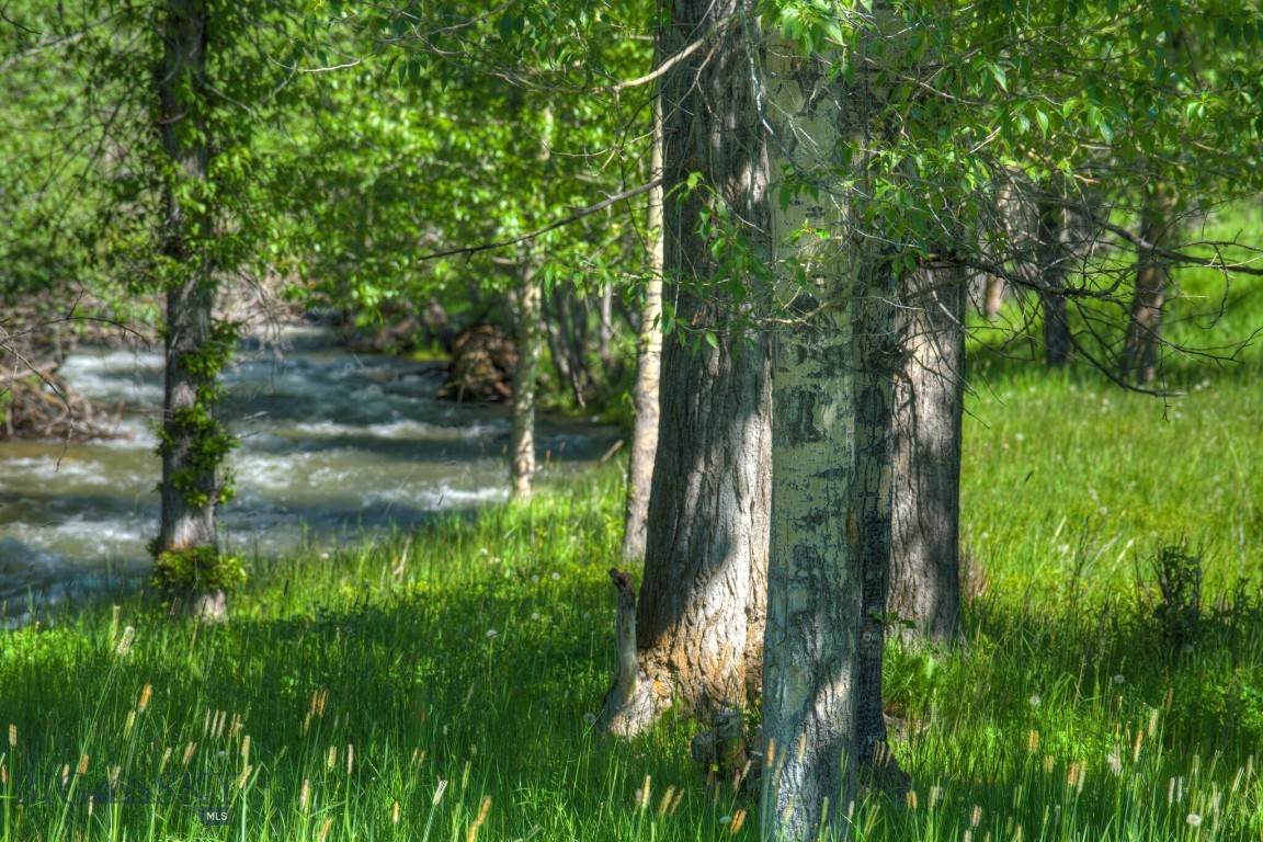 13830 (Lot A) Cottonwood Road