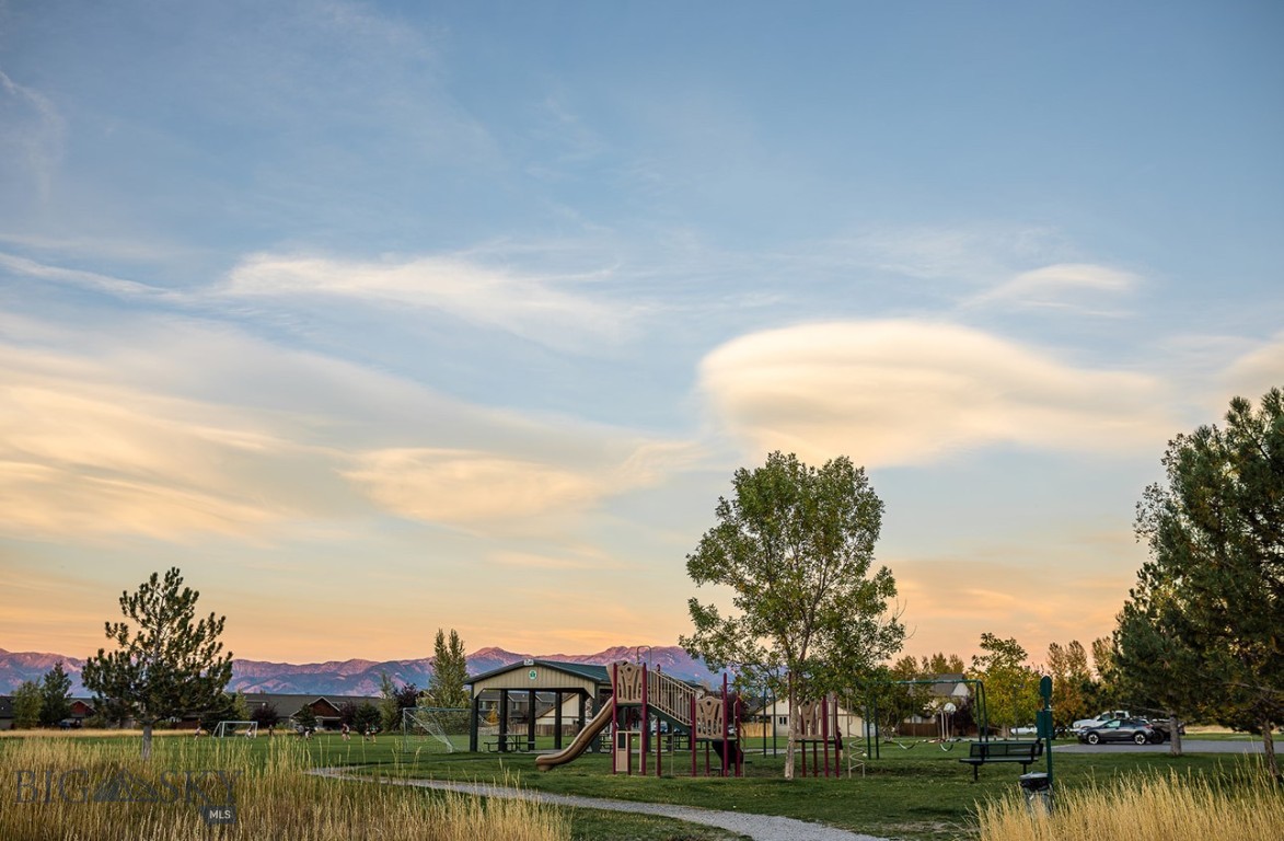 20 Prairie Grass B, Bozeman