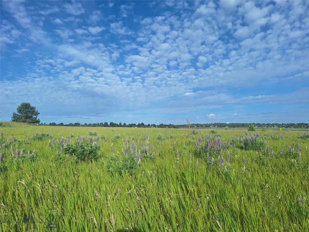 125 Blossom Way, Bozeman