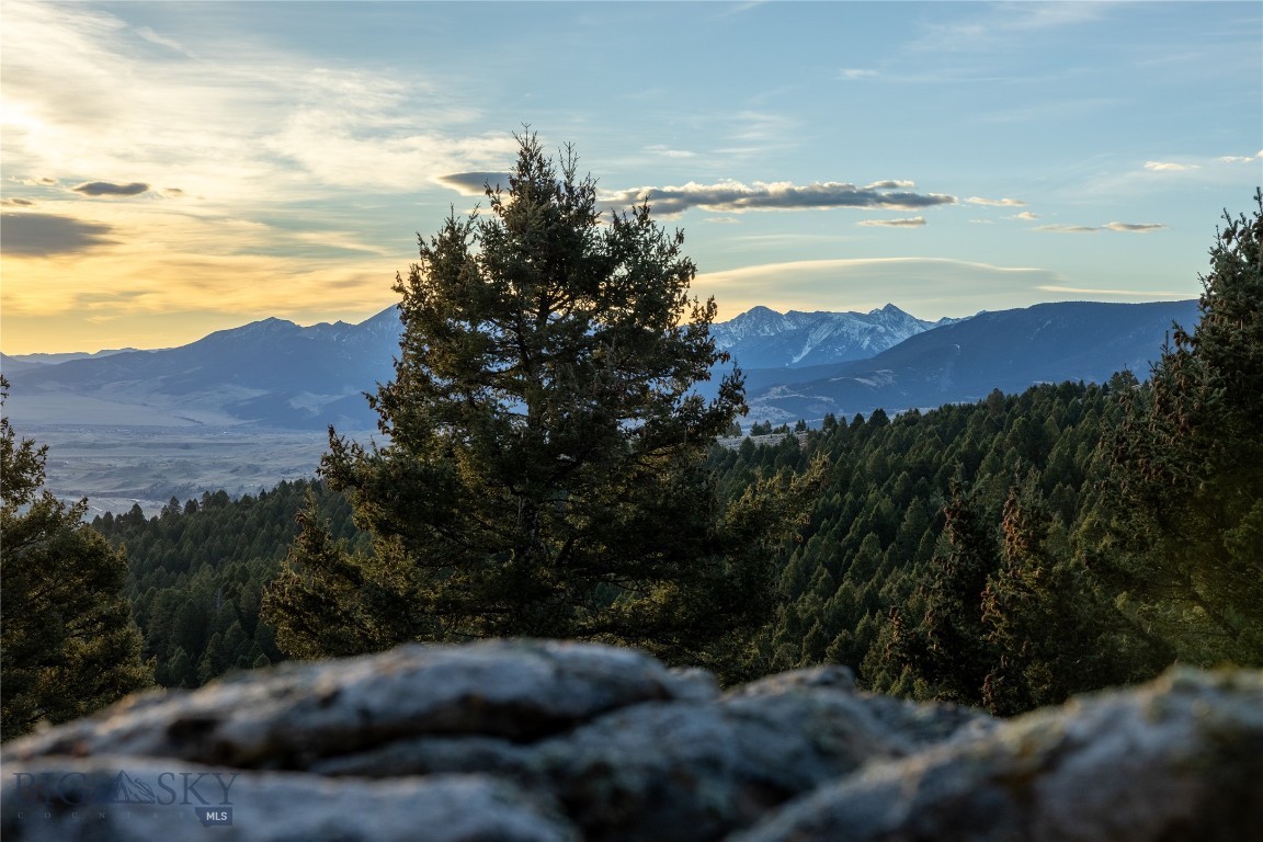 TBD Sunflower Lane LOT 4 Lane