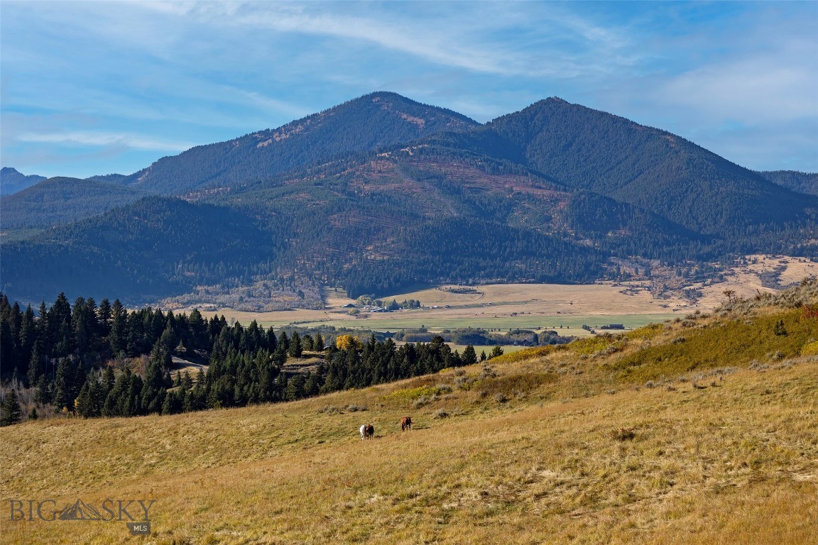NHN Kelly Canyon Road