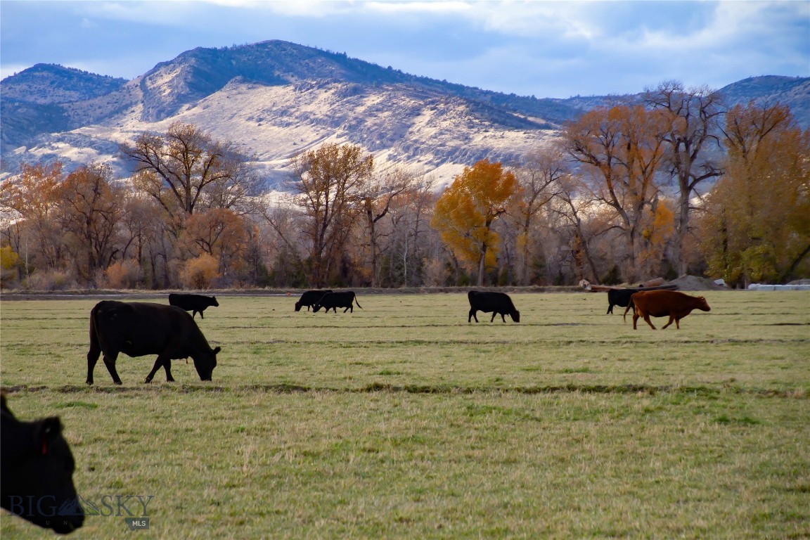 5191 Old Yellowstone Trail