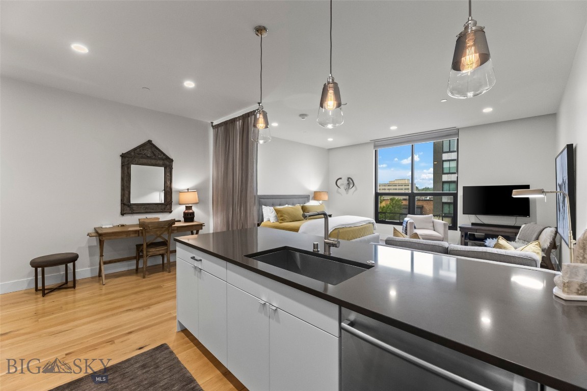 5 W Mendenhall 415, Bozeman