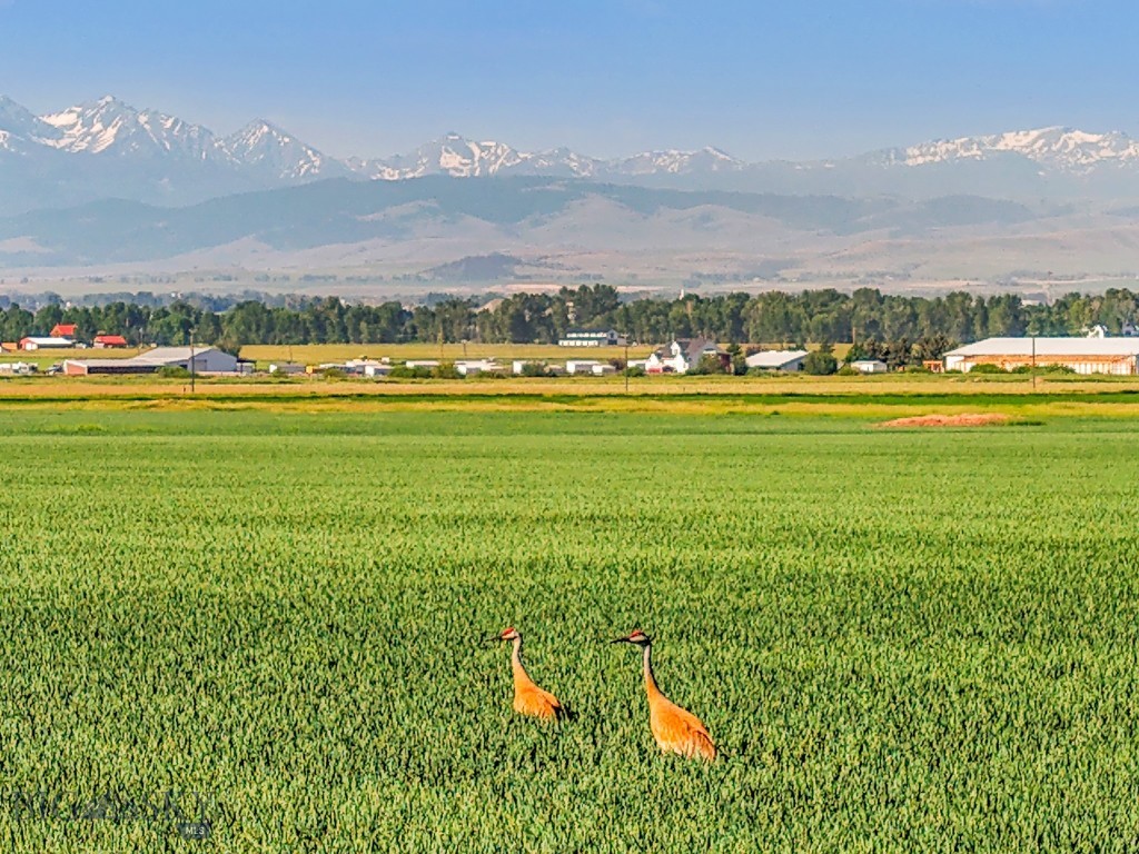 TBD Penwell Bridge Road