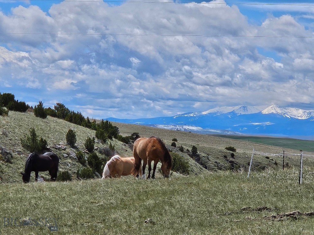 1590 Four Rivers Road, Three Forks