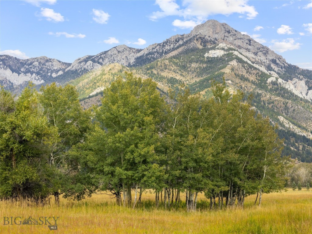 TBD Springhill Community Road