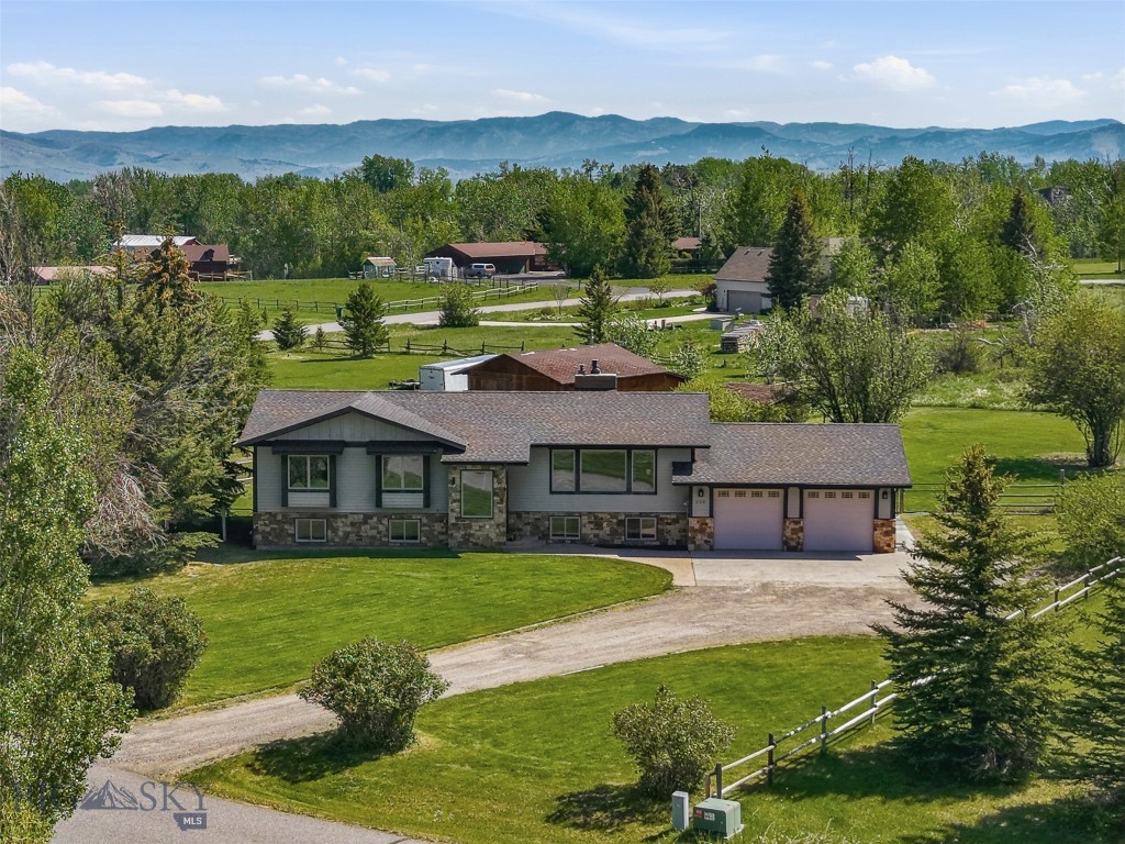 266 Cougar, Bozeman