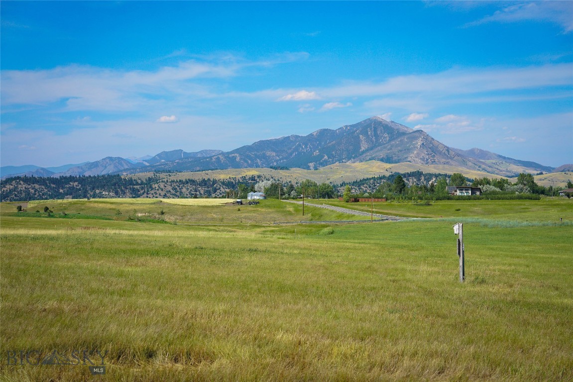 260 Boreal Way