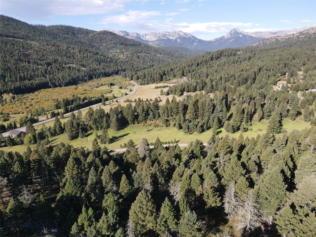 TBD Pony Creek, Bozeman