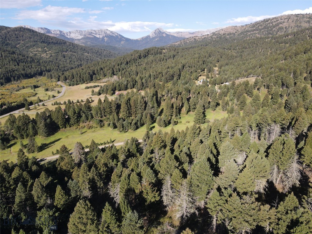 TBD Pony Creek